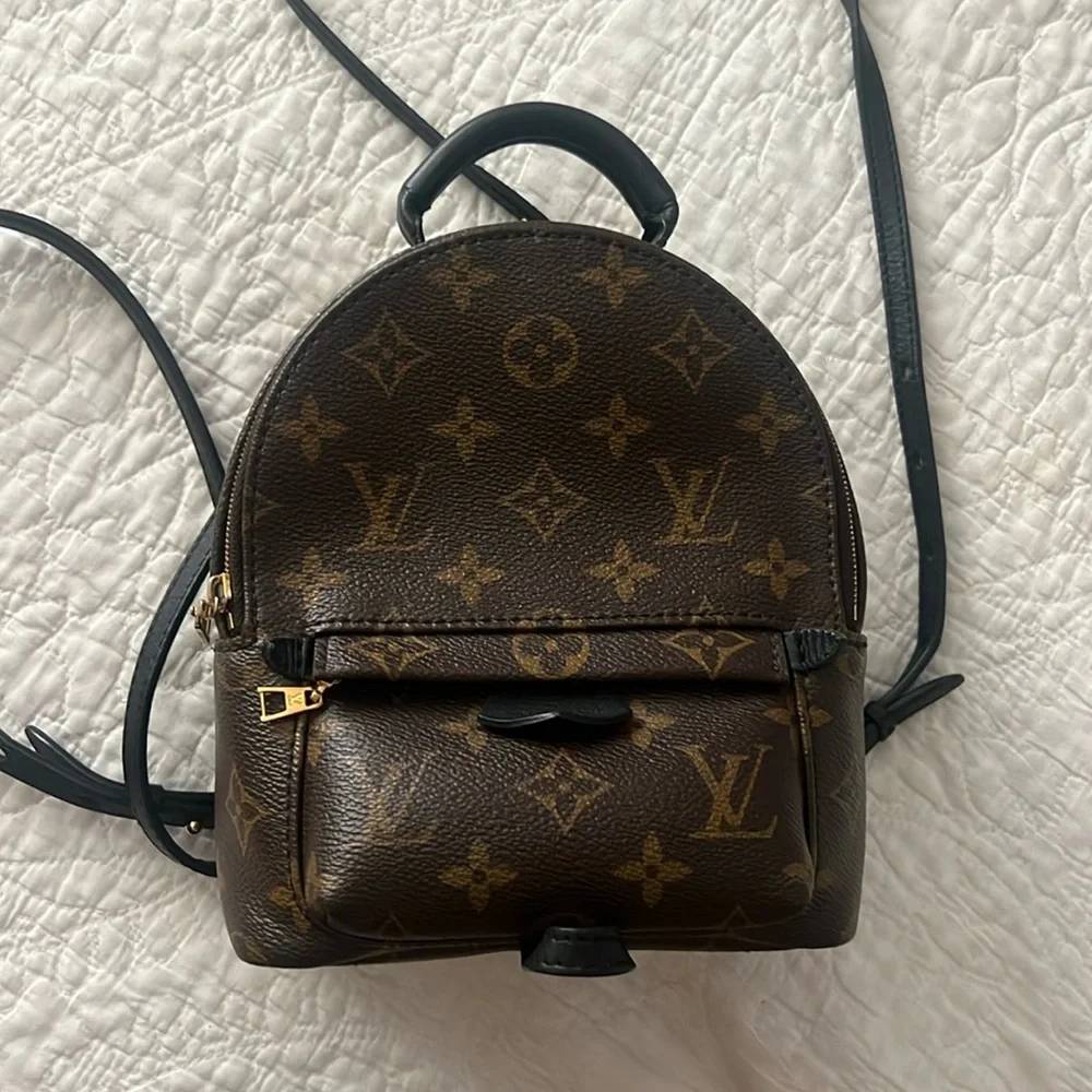 Louis Vuitton Palm Springs Mini